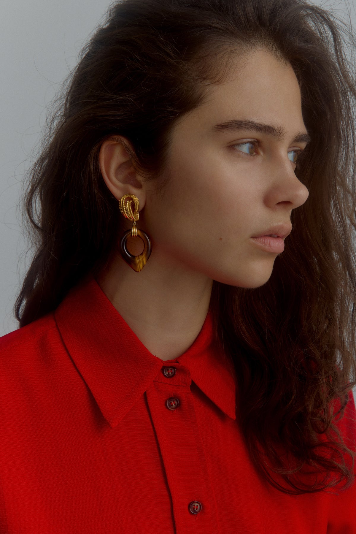 14ct gold & tiger's eye ear clips