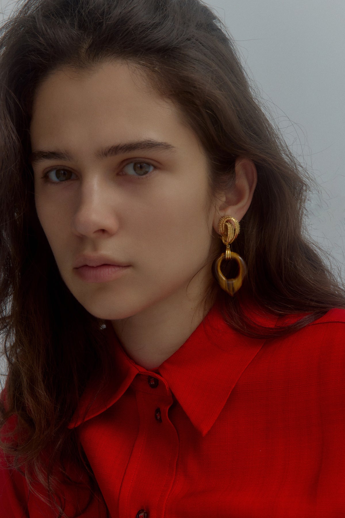 14ct gold & tiger's eye ear clips