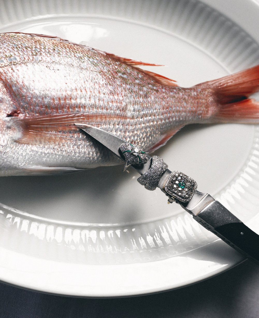 HEIRLOOM STILLS VOL. 1